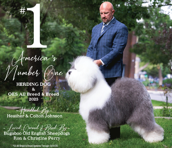 17 Johnson_SR012026_01