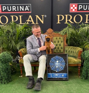 Bobcat Party Like A Rockstar