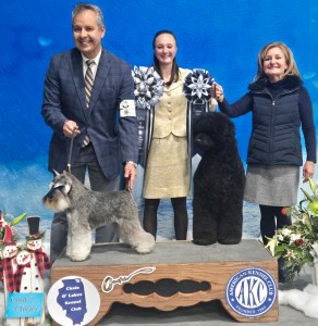 Carmel Mr. Joe Adamis