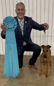 Cosgrove the Devil in Disguise NOHS