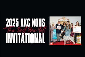 F 2025 AKC NOHS Invitational