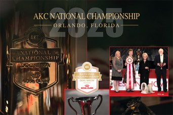 F 2025 AKC National Championship