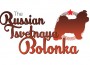 F Russian Tsvetnaya Bolonka
