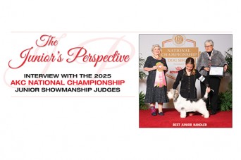 F The Juniors Perspective AKC