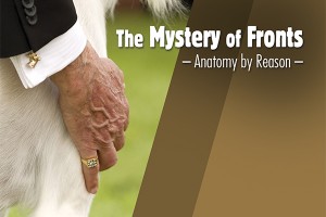 F The Mystery of Fronts