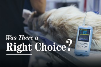 F Was There a Right Choice