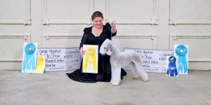 First Class Flawless My Dear