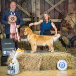 GCHB-Maximus-Bichota-Baby