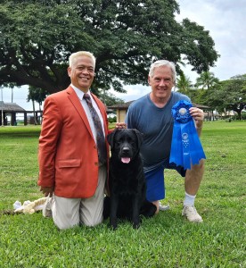 Lochinvar You Make Me Feel Like Dancing