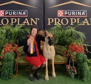 Regent Landmark's Groogrux King