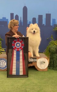 Vanderbilts Lucky Day