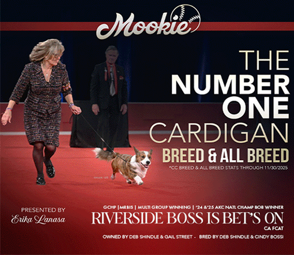 24 Shindle_Jan2026SR