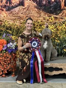 Boardwalk Here Comes The Sun