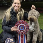 Boardwalk Here Comes The Sun