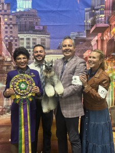 Carmel Mr. Joe Adamis