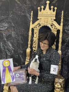 Celestial's Fly Me to the Moon