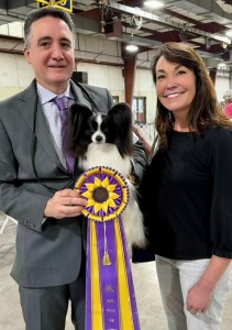 Flolin Andali Follow The Son