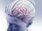 Head and brain illustration_41c67820-a325-4344-9d90-ae6702ca11cc-prv