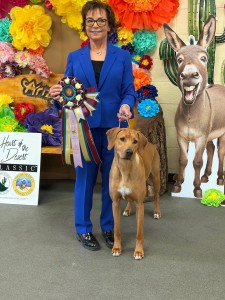 Pupukearidge Spirit Of Lokahi By Justiceridge