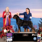 RottBISSPRT00373-copy