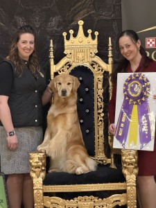 Zumbro Forever Essence of Allure