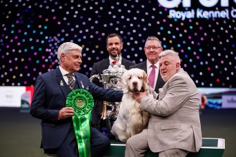 ©Anna Szabo / Royal Kennel Club