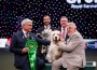 ©Anna Szabo / Royal Kennel Club
