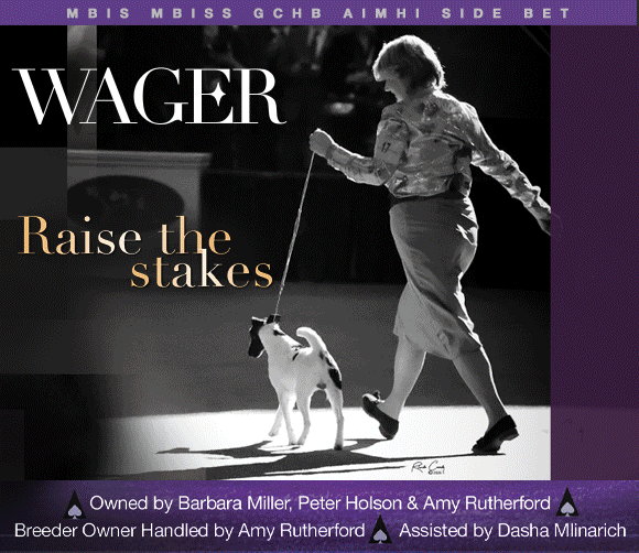 18 Holson_SR022026_01