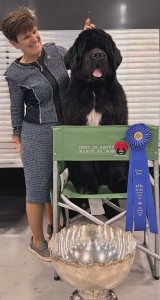 Bowater's Love Your Flashy Ways At Annisquam Light