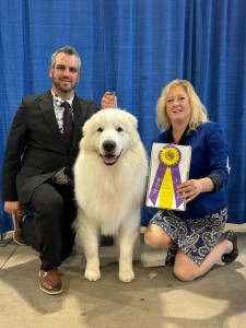 CallaBrio’s Champagne Toast