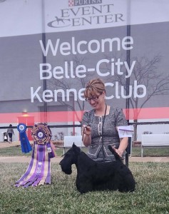 Chyscott’s The Dark Horse