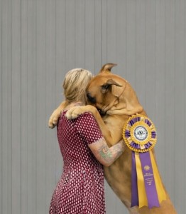 Dapper’s Dangerously Addictive