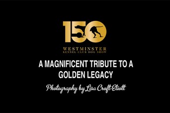 F 2026 150th Westminster