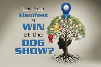 F Can You Manifest A Win