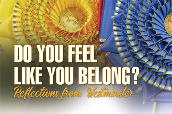 F Do You Feel Like You Belong