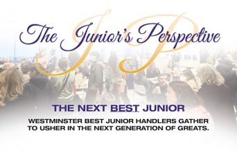 F JP The Next Best Junior