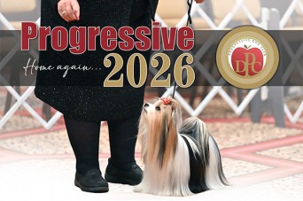 F Progressive 2026