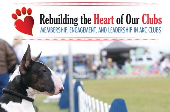 F Rebuilding The Heart