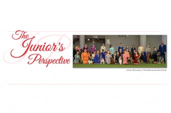 F The Junior's Perspective