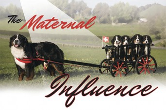 F The Maternal Influence