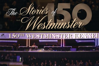 F The Stories of Westminster