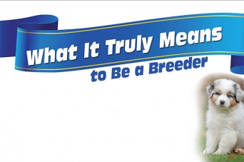 F What It Truly Means