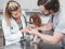 Gallant- Veterinarian examines dog in clinic