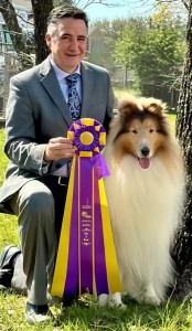 Heatherfield Purple Hearts Reflection