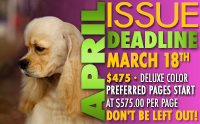 K9_DEADLINES_April2026