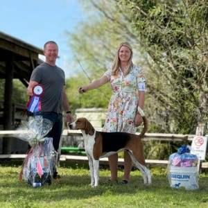 Lost Heritage Simply The Zest