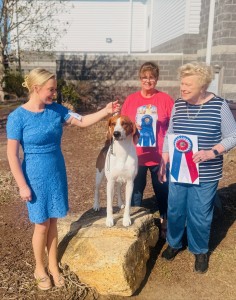 Lost Heritage Time Bandit At Kiarry