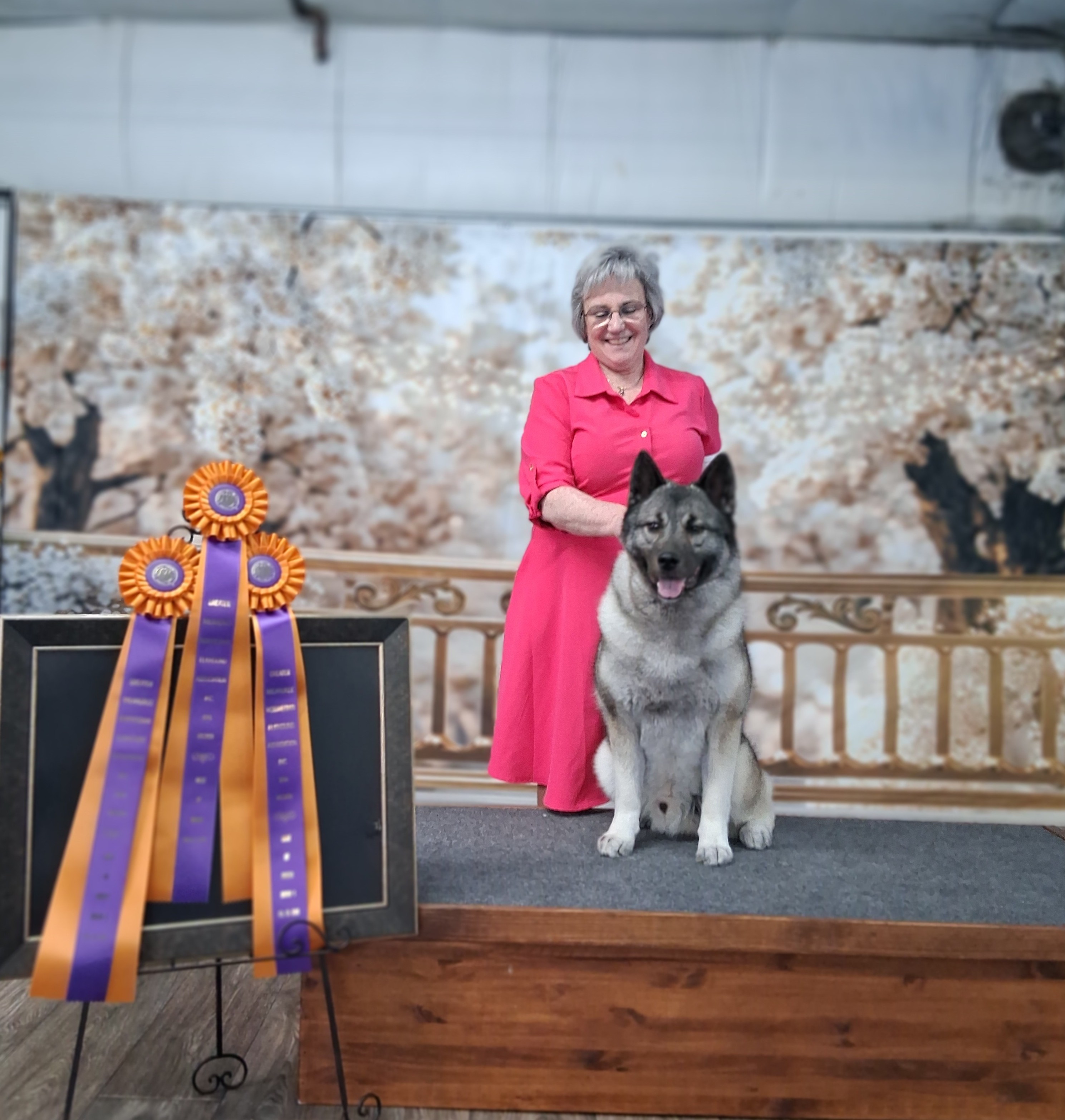 Silhouette's Dark Knight