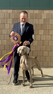 Simpatico Undeniable