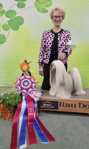 Ta Sen Westgate Jingle Juice